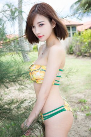 熊出没